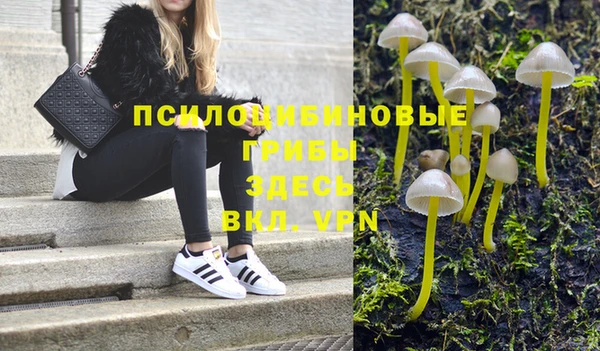 твердый Ижевск
