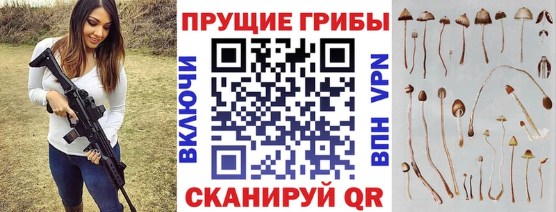 Псилоцибиновые грибы Magic Shrooms Трёхгорный